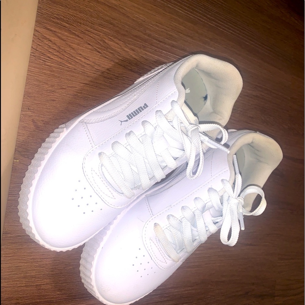 White pumas
